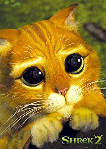 Chat Potté - Shrek - Dreamworks