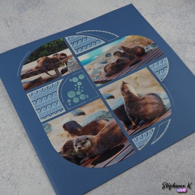 Page 30 x 30 Loutres - Vue 4