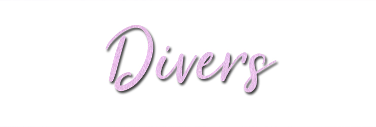 Titre divers blog